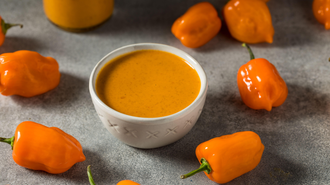 Best Habanero Hot Sauce Options to Elevate Any Meal
